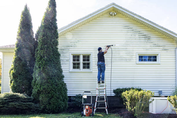Best Driveway Pressure Washing  in Interlaken, CA
